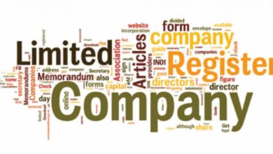 Photo of Online company registry among 12 Member States