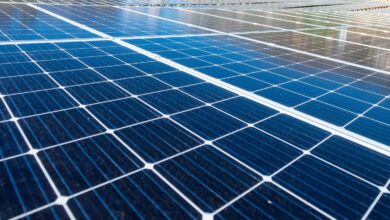 Photo of St. Kitts and Nevis Leading Decarbonisation Efforts in the Caribbean