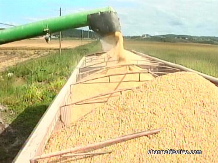 Photo of CARICOM Secretary-General on rice importation dispute