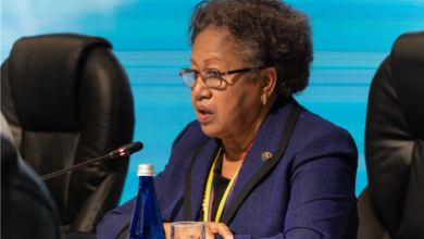 Photo of CARICOM Secretary-General’s Remarks at the second CARICOM Colombia Ministerial Summit